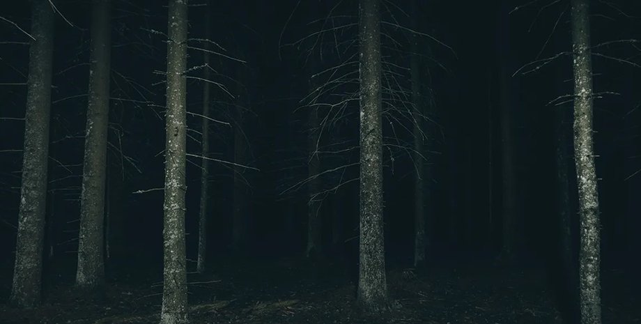 В Трансильвании можно посетить лес с привидениями