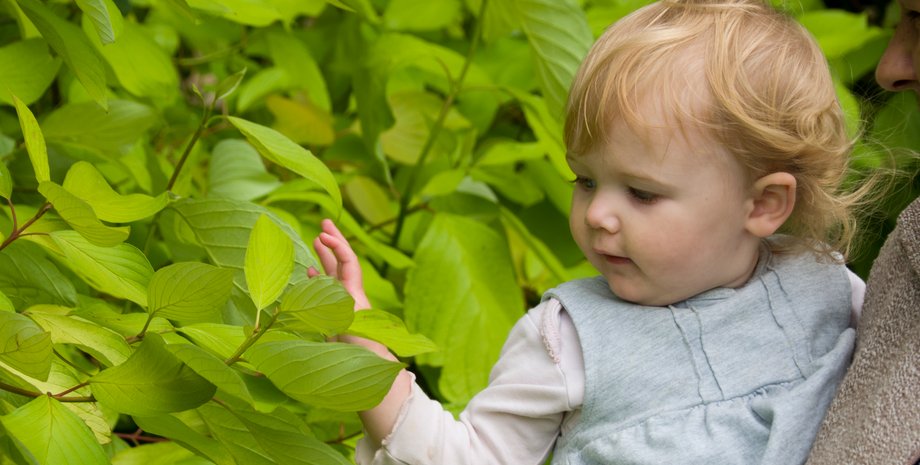 Дочь вернулась с прогулки: содержимое ее карманов перепугало маму ребенка