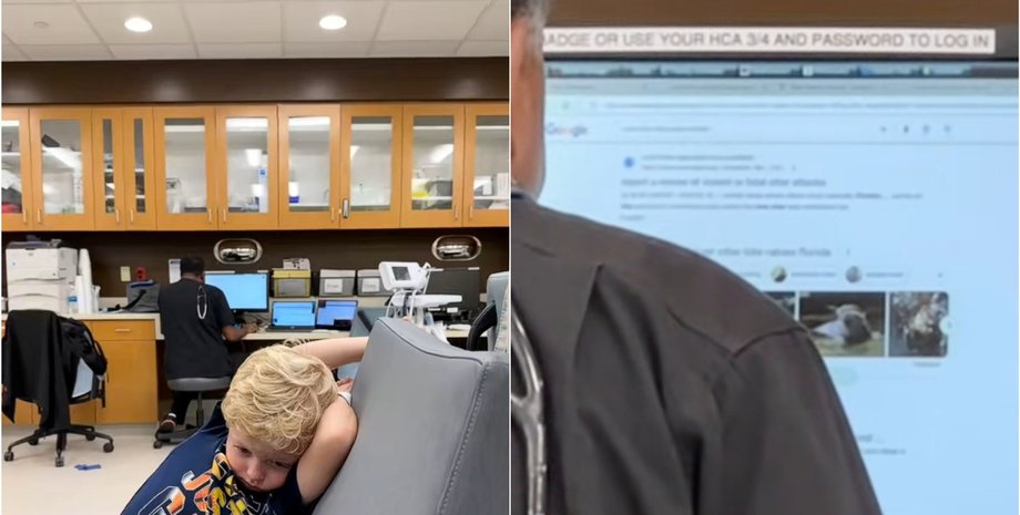 Мама привезла сына в больницу после укуса выдры: действия врача заставили потерять речь