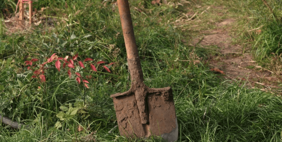 Мужчина копал яму для дерева и обнаружил редкий раритет: содержимое ямы удивило интернет (фото)