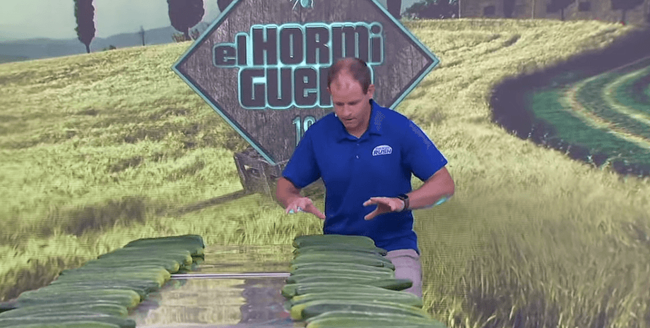 Мужчина, который любит хрустеть огурцами, установил новый мировой рекорд