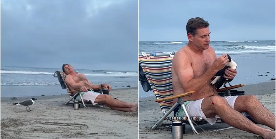 Мужчина притворился спящим и смог поймать голыми руками чайку: дальше произошло неожиданное