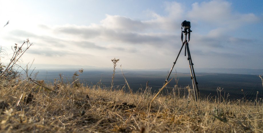 Неожиданный гость из пустыни: камера зафиксировала животное, которое не надеялись увидеть