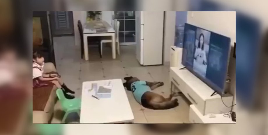 Отец оставил дочь дома с собакой: увиденное на камере удивило его и сеть (видео)