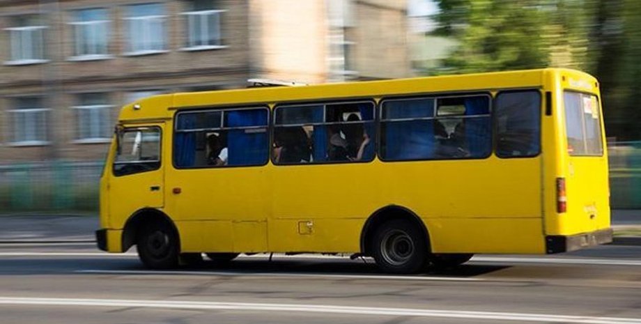 Пассажиры не могут нарадоваться: киевский автобус "нанял" пушистого кондуктора (фото)