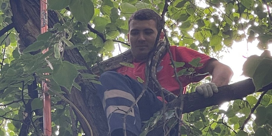 удавы в Киеве