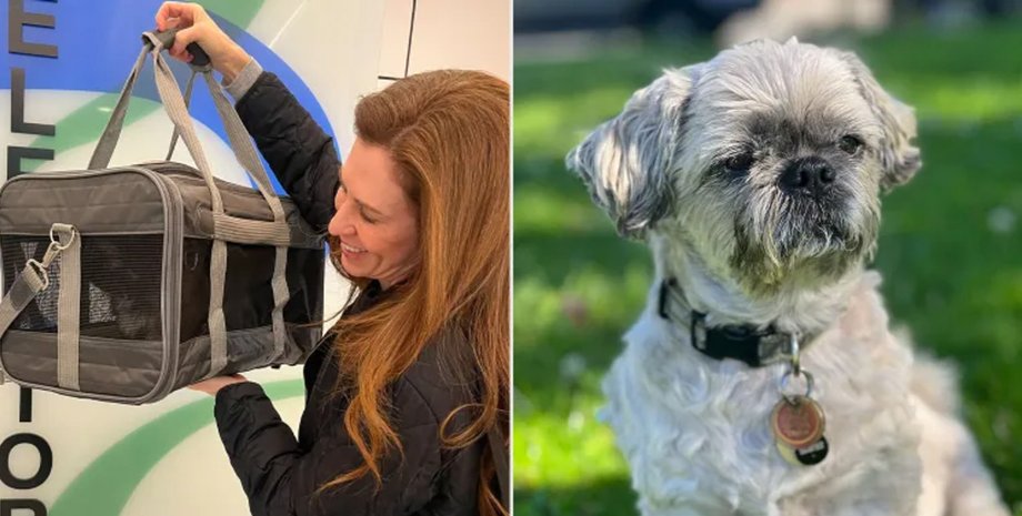 Слева Венесса Джонсон забирает клонированного щенка из переноски, справа ее покойный пес Оливер