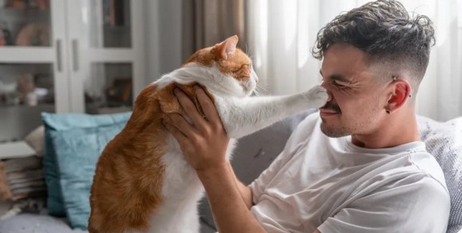 Мужчина держит рыже-белую кошку, которая лапой трогает его лицо