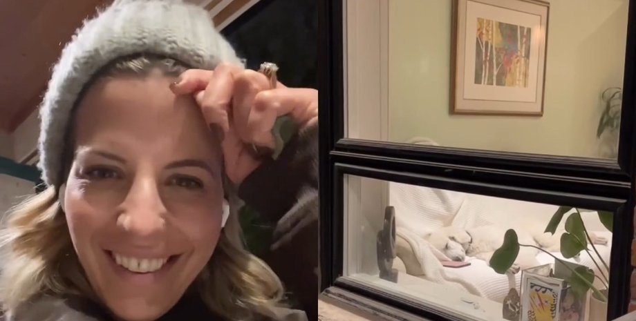 Женщина запретила пуделю спать на диване: дальше произошло то, чего никто не мог предвидеть