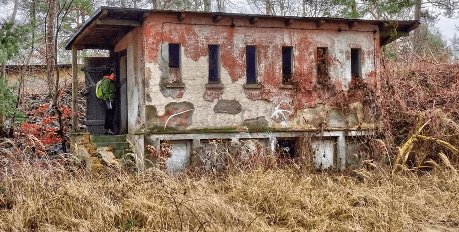 Жуткое наследие прошлого: девушка открыла тайны "леса смерти"